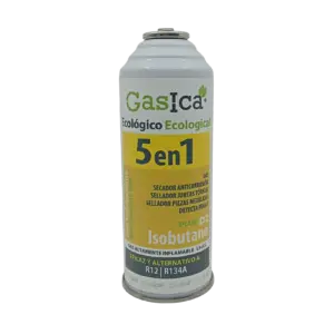 GASICA D2 +PLUS 5 EN 1